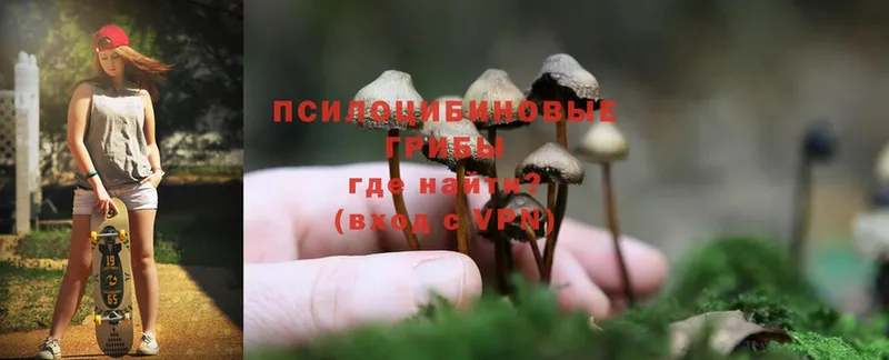 Галлюциногенные грибы Cubensis  Покров 