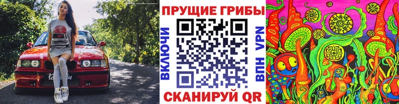 Галлюциногенные грибы мицелий  Покров 